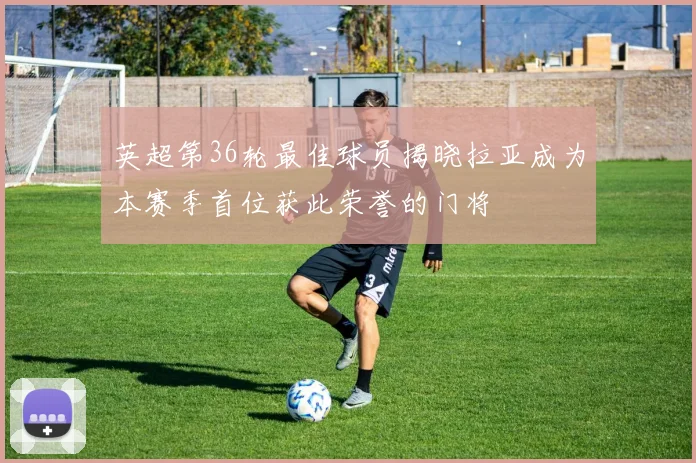 英超第36轮最佳球员揭晓拉亚成为本赛季首位获此荣誉的门将