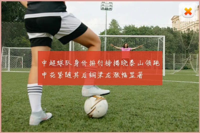 中超球队身价排行榜揭晓泰山领跑申花紧随其后铜梁龙涨幅显著