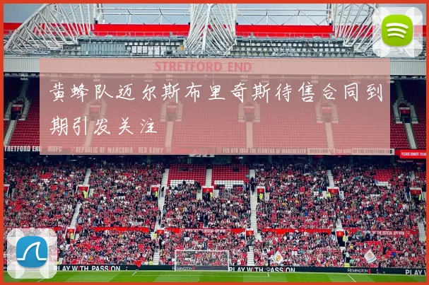 黄蜂队迈尔斯布里奇斯待售合同到期引发关注