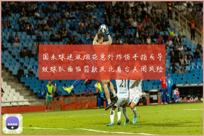 国米球迷放烟花意外炸伤手指或导致球队面临罚款及北看台关闭风险